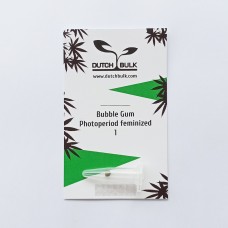 Bubble Gum feminized