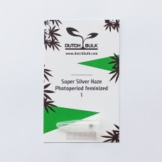 Super Silver Haze feminized