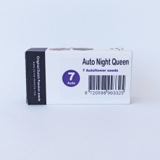 Auto Night Queen